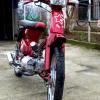 Sapo_o_mate