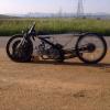 astrea trelo