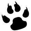 baddog